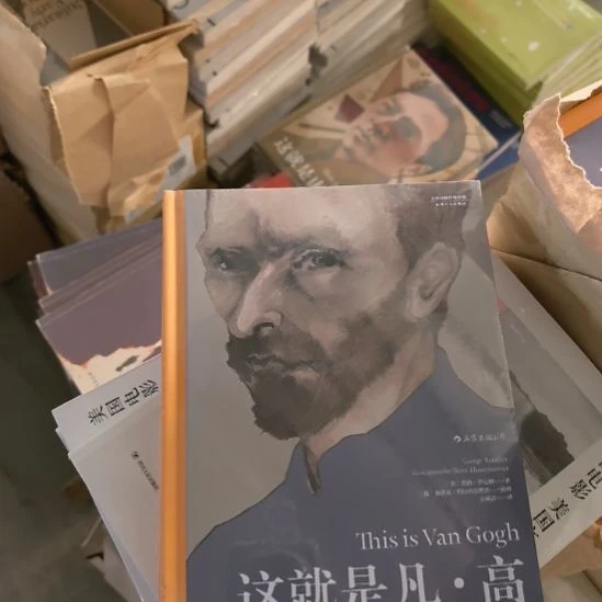 这就是凡高精装塑封未拆封