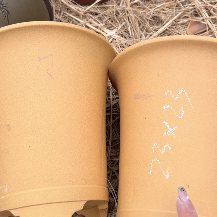 红陶紫砂兰花盆微瑕