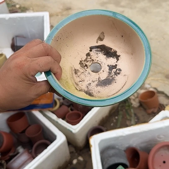 不说算什么呀亲爱的在那