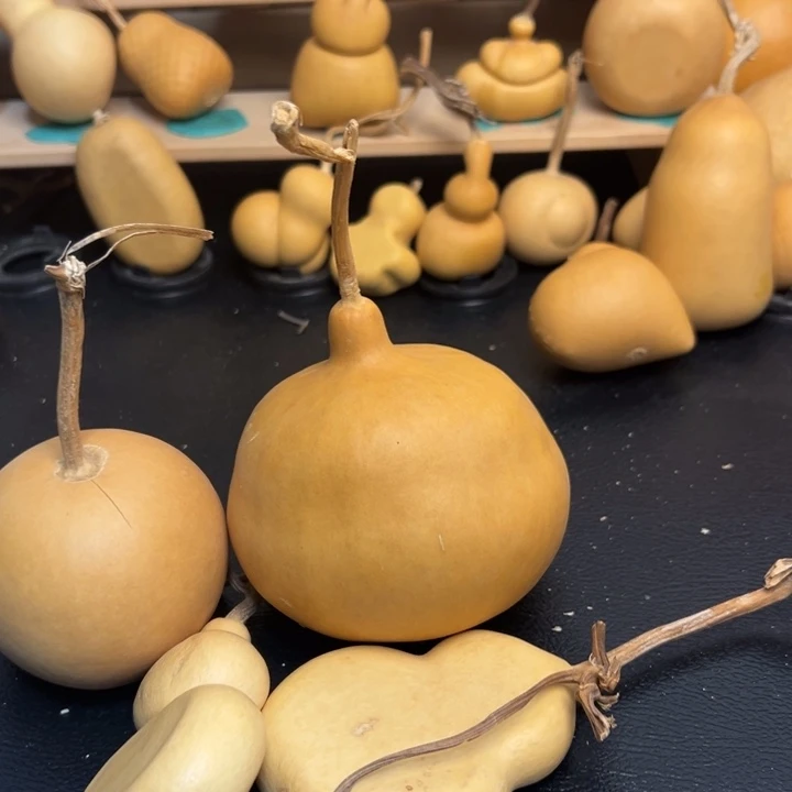 那**儿葫芦葫芦葫芦葫芦葫芦葫芦