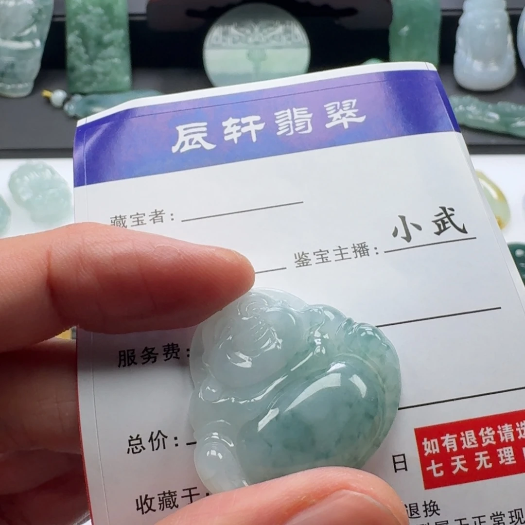 翡翠未镶嵌颈饰     56