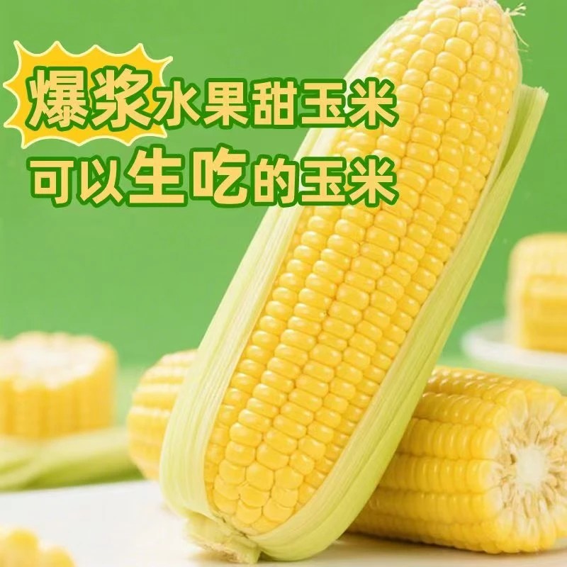 【裴心家专属】2025新鲜头茬可生吃爆浆甜玉米