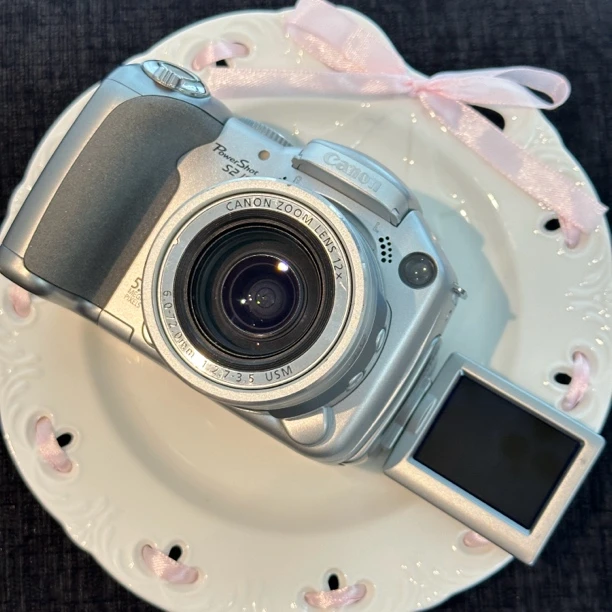 9新 Canon/佳能 S2is翻转屏可自拍像素500w12倍光学变焦网红CCD