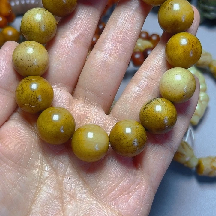 大果紫檀（缅甸花梨）