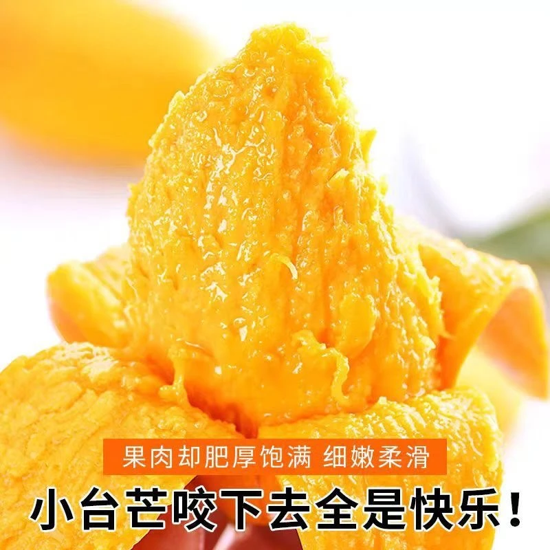 【三亚直发】正宗海南小台农芒果三亚应季热带新鲜水果爆汁