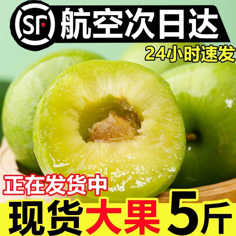 正宗四川脱骨青脆李当季新鲜水果酸脆爽口