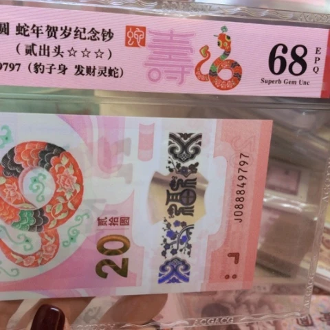 塑料088849797豹子身0888带头————-