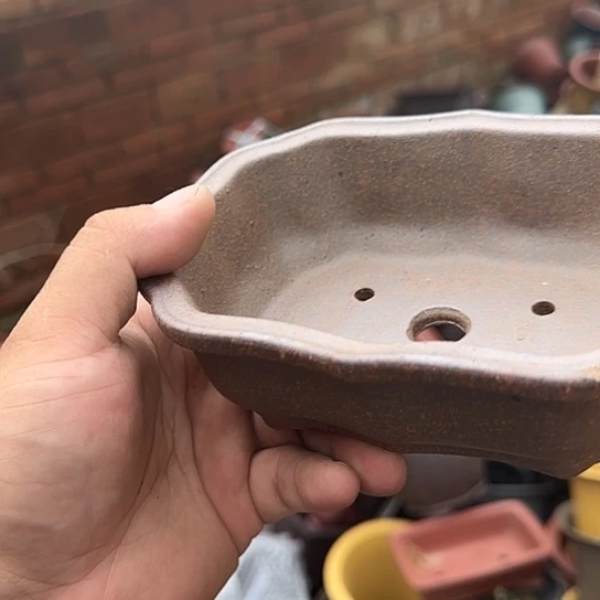 这一期太有意思咯太好嗑的一对啦