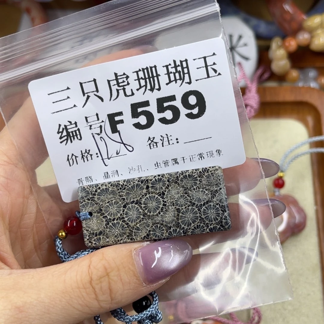 X***姨未镶嵌h硅化珊瑚（珊瑚玉）