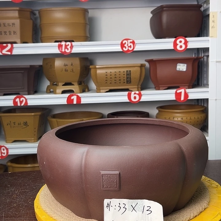 紫砂花盆蛇年大吉