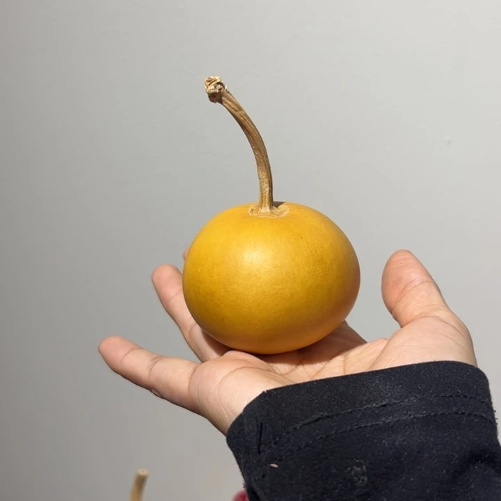 a***喔天然老皮橘子葫芦