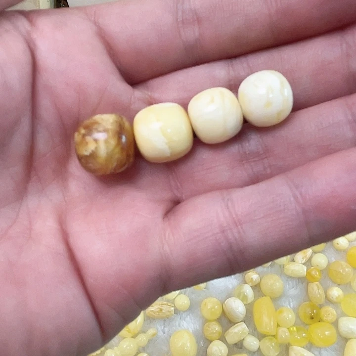 裸石琥珀未镶嵌老行