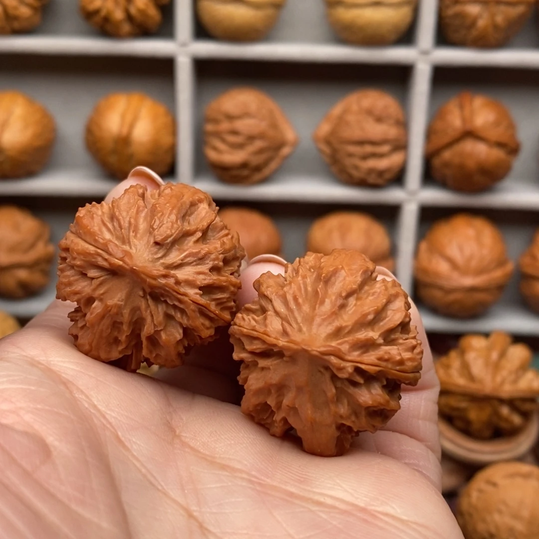 文玩核桃把件暴龙