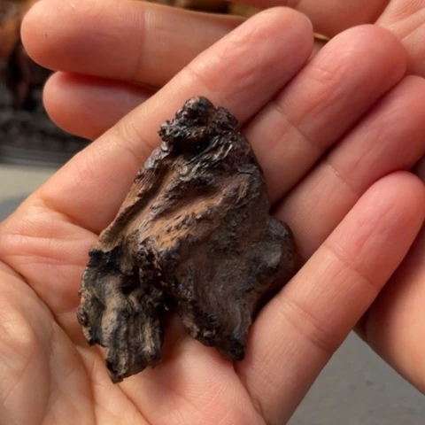 【闪购商品】黄花梨/降香黄檀把件………………