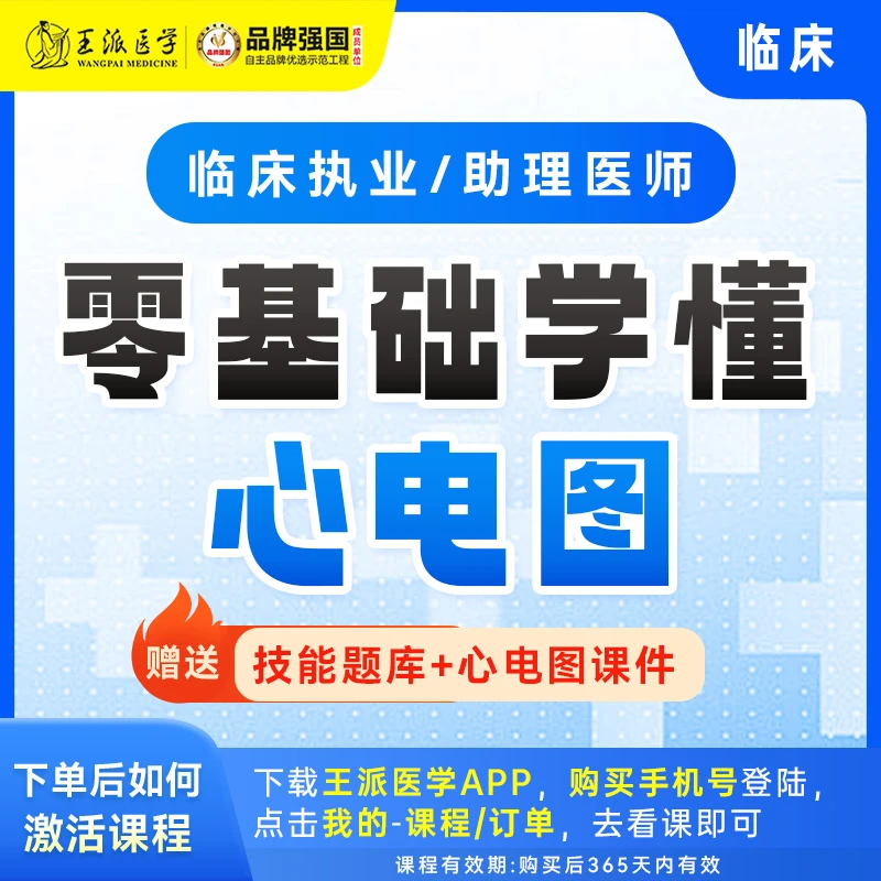 王派零基础学懂心电图