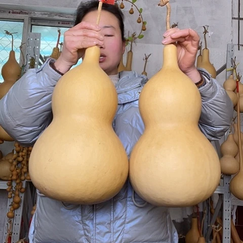 發****6天然植物葫芦文玩