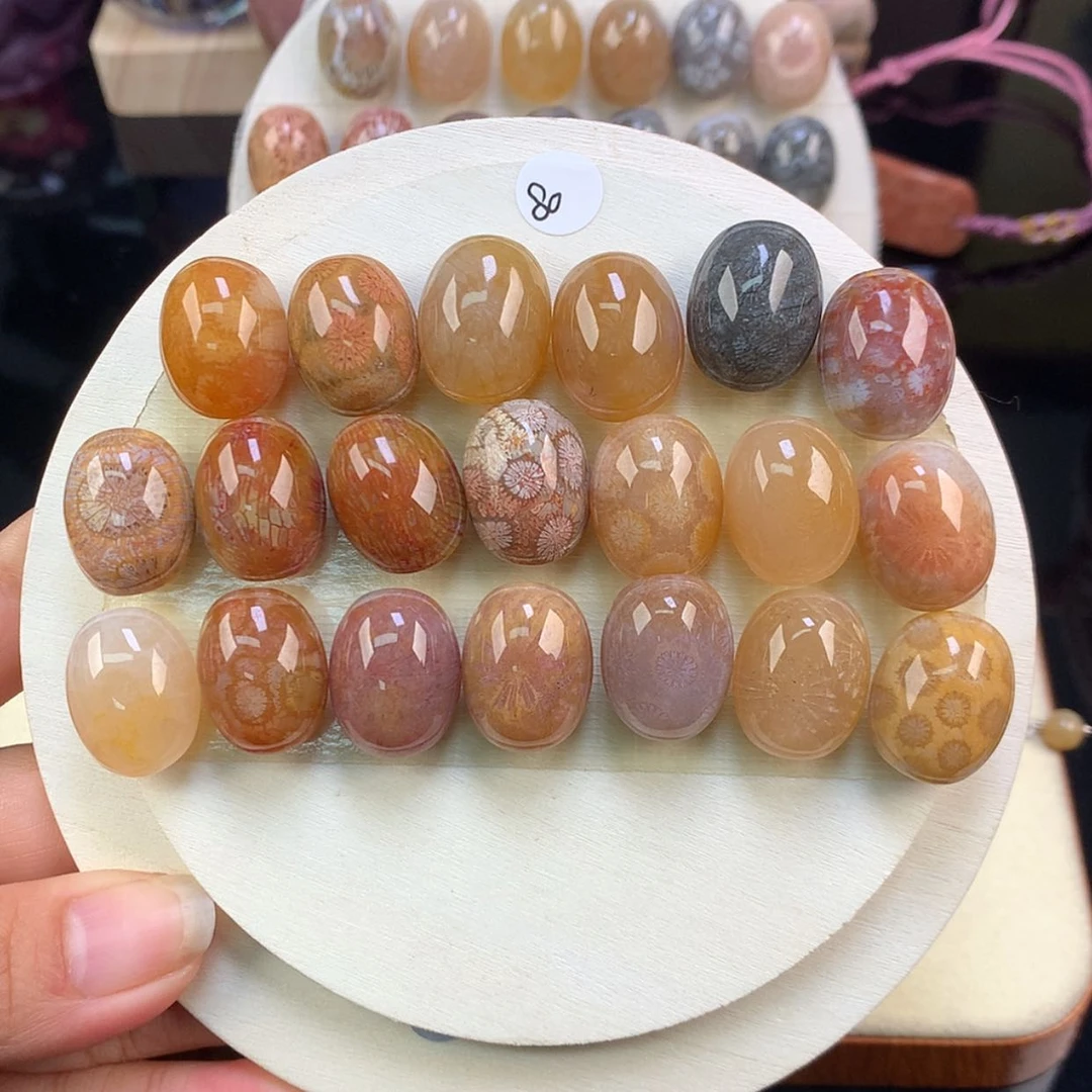 【闪购商品】颈饰未镶嵌硅化珊瑚（珊瑚玉）上新龟背80一个可挑（7号）