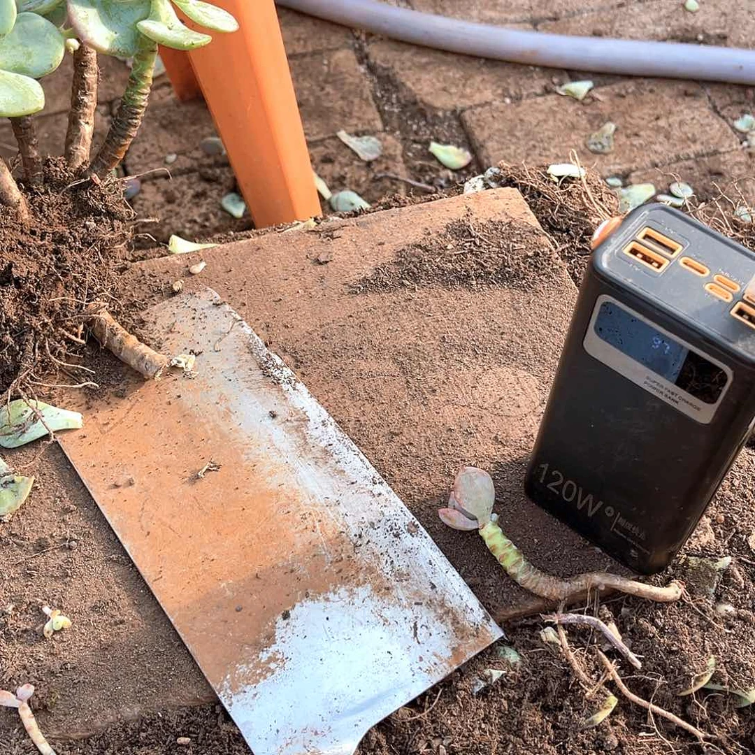 *****十级福利大群不售后无砍