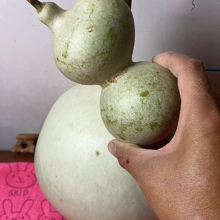 p***n青皮葫芦手把件摆件