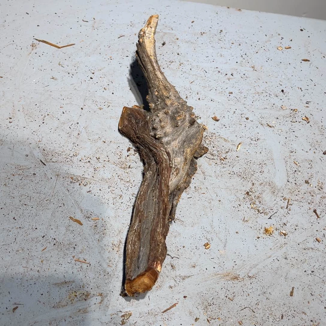 柏木（崖柏）用****6陈化