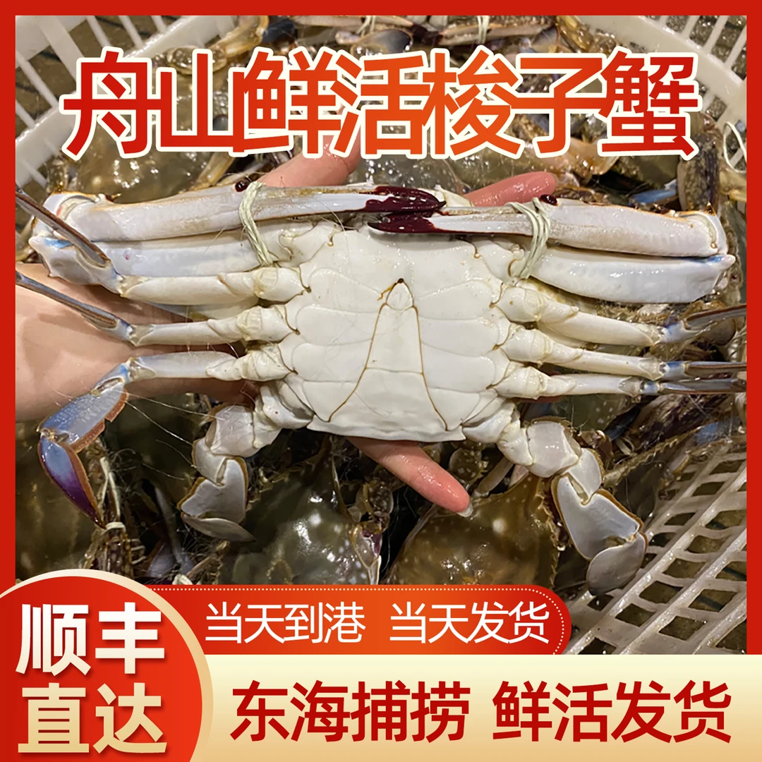 【保鲜不保活】公梭子蟹3斤4-6两/只共6-7只鲜活发货顺丰包邮海鲜梭子蟹同城