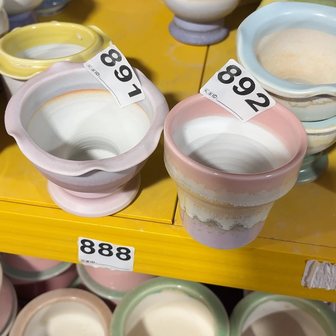 小****景德镇多肉花盆891+892