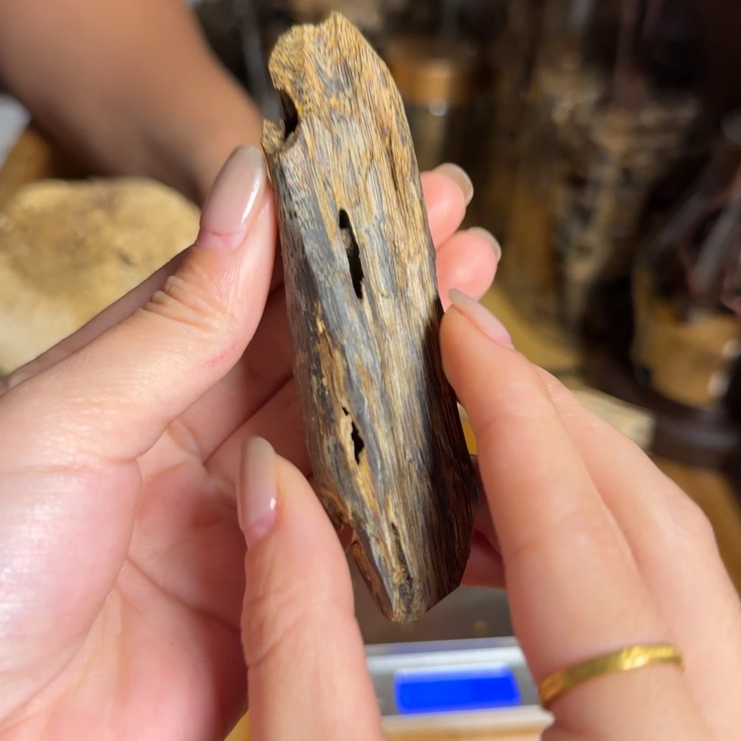 沉香奇楠沉香原料虫漏香15克