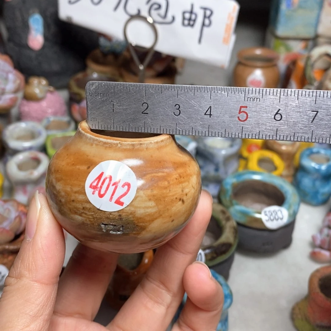 拍5送一个小礼物