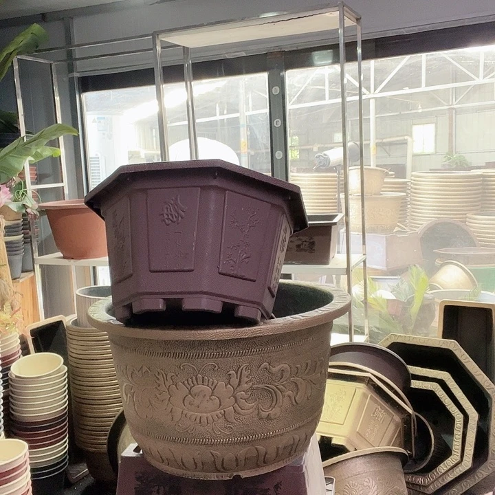 梅花照眼 依然旧风味