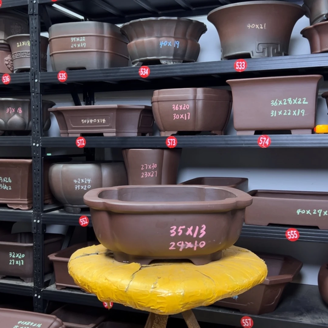 紫砂其他呜呜呜呜