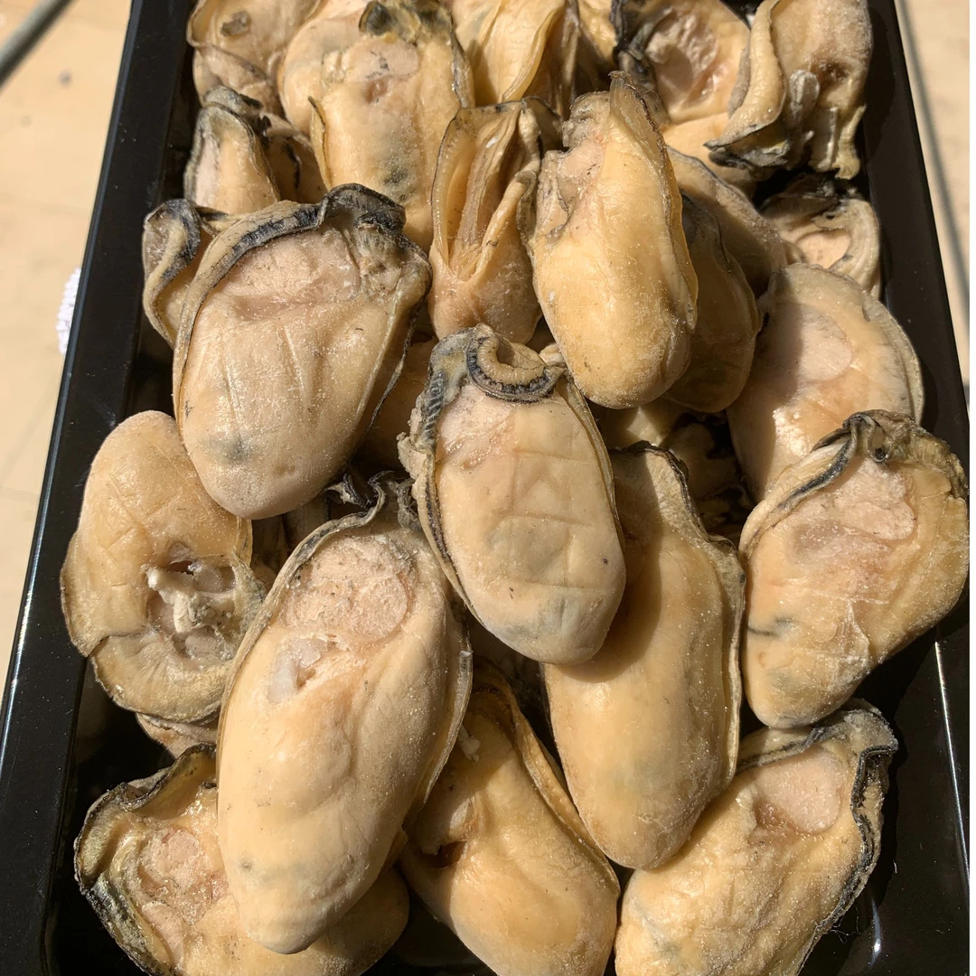 【七成干台山金蚝】精品货正宗白玉蚝肥厚饱满送礼级别天然正宗50头