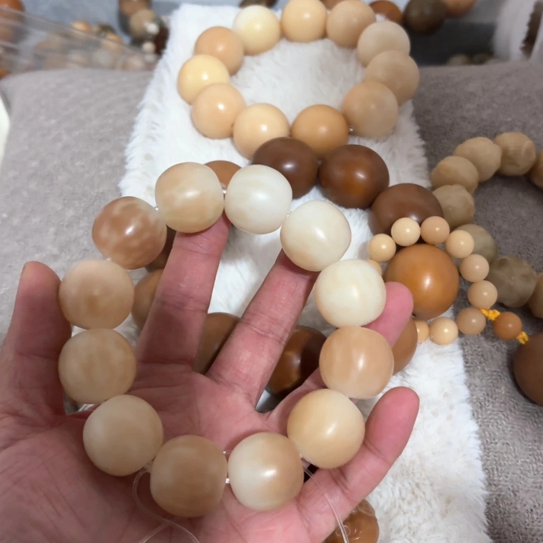 菩提根/象牙果手串苏*