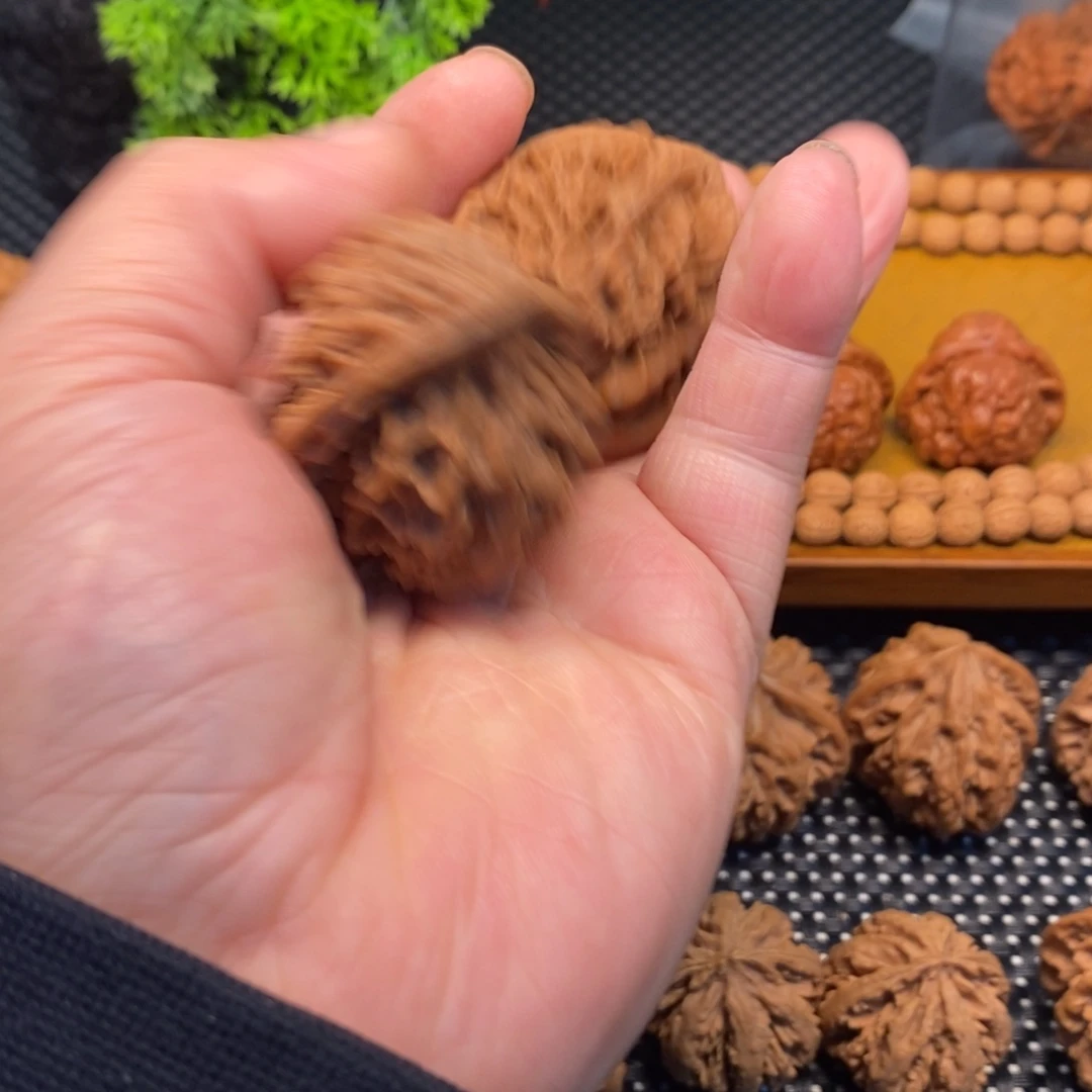 回***首秦岭森林茂密地栖息