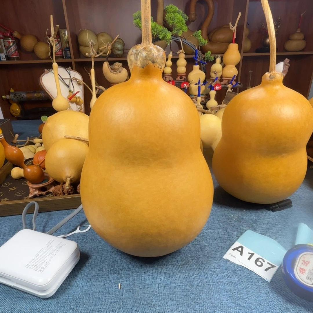 雯****葫芦葫芦葫芦葫芦葫芦
