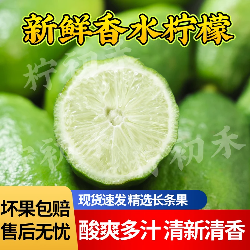 香水柠檬青柠檬子弹头云南香水柠檬海南香水柠檬奶茶店专用1-9斤