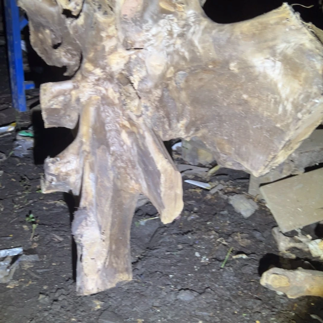 金丝楠壹*111111114115