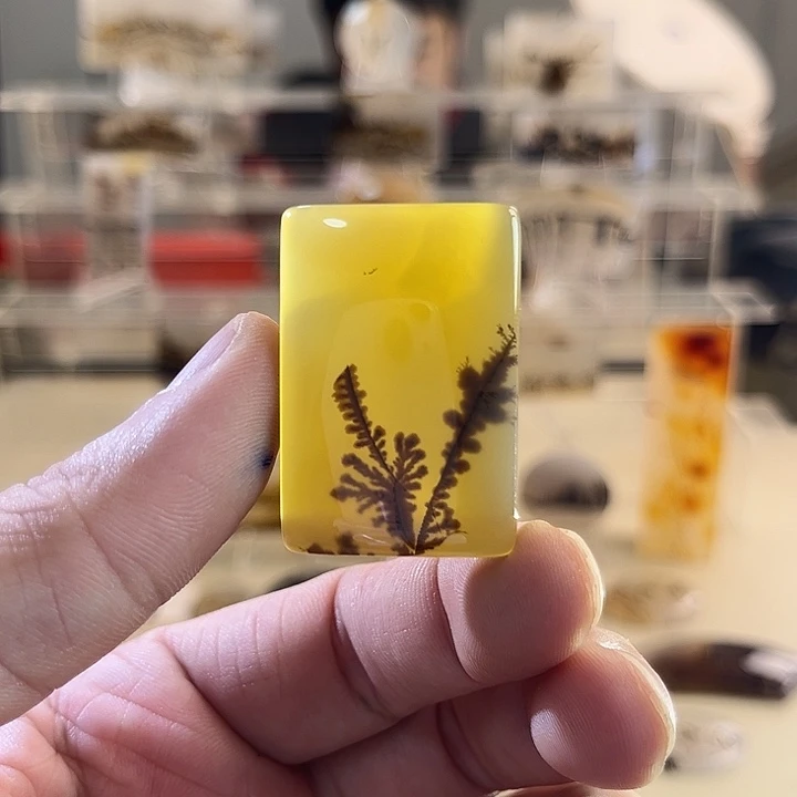 未镶嵌吊坠(不含链)玛瑙/玉髓