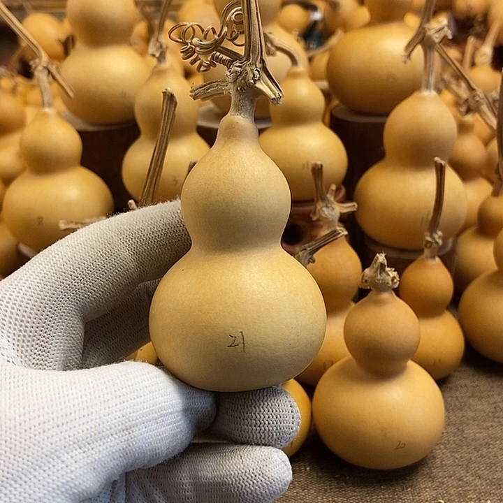 文玩葫芦 完美主义者 慎拍21