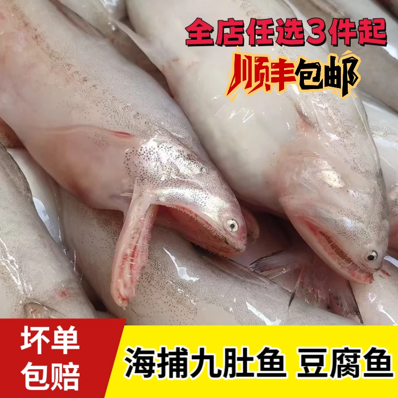 本港豆腐鱼九肚鱼海捕海鲜水产丝丁鱼新鲜冷冻龙头鱼去肚前500g