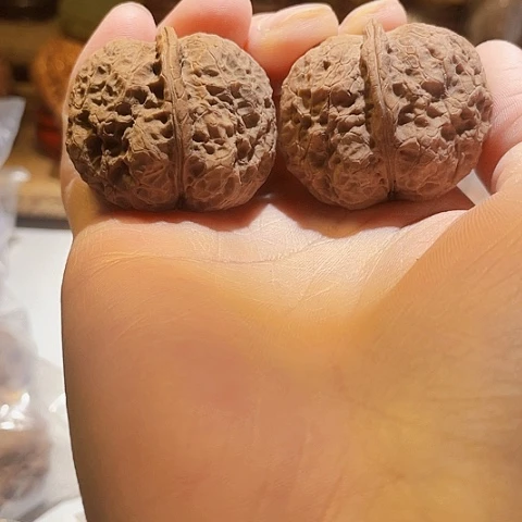 把件文玩核桃黑山老蟾带彩磕尖39