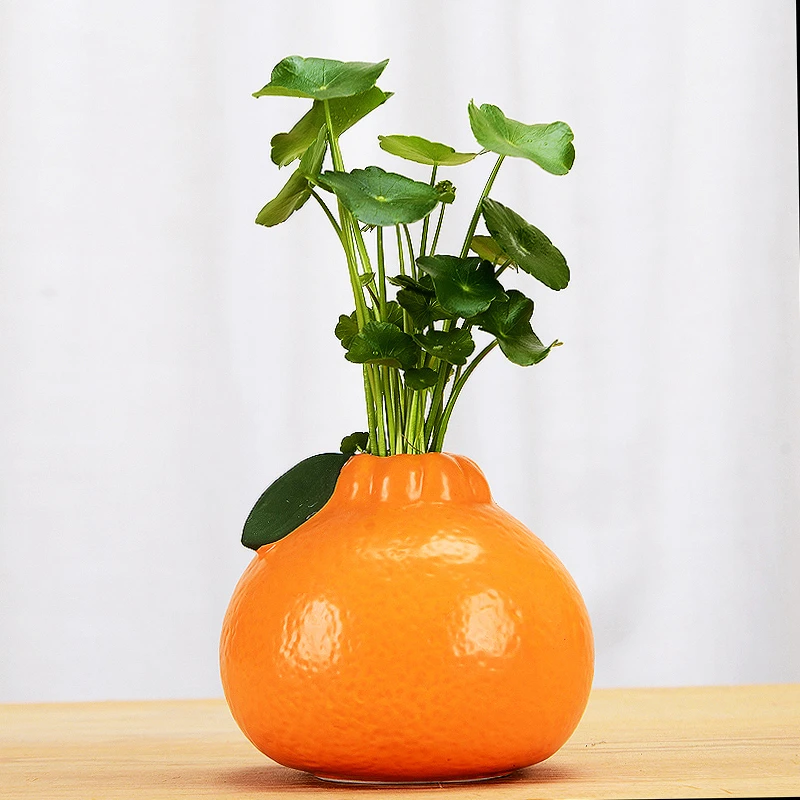 大吉大利橙子桔子水培花瓶铜钱草绿萝花盆简约桌面客厅玄关摆件