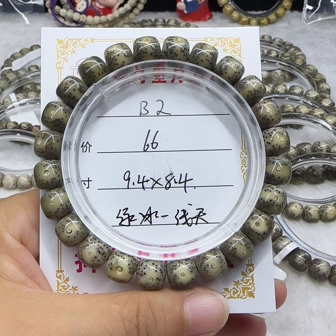 心月星月菩提一号B2