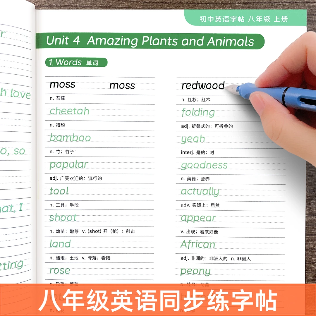 新版初中七八九年级上下册人教版英语同步单词短语句子衡水体字帖