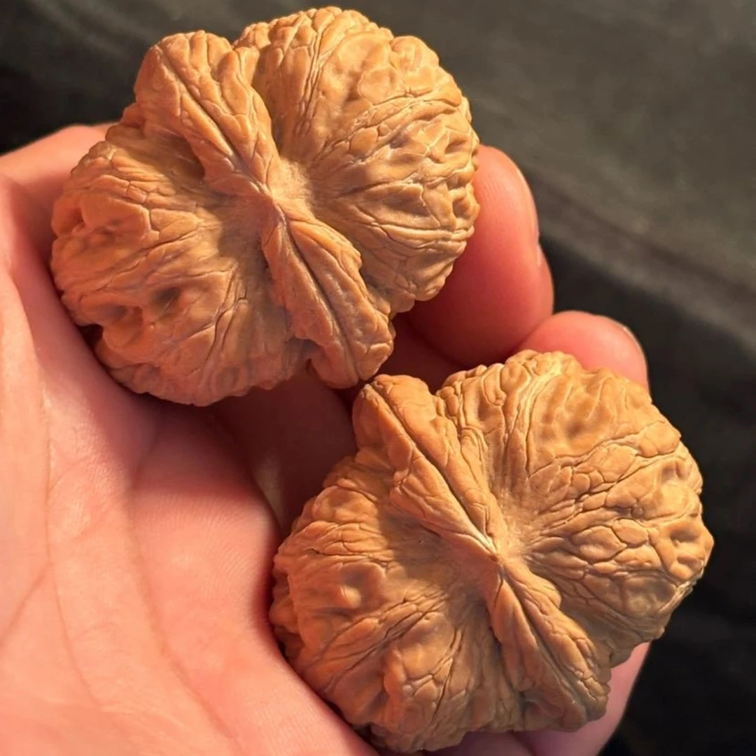 文玩核桃直播定向专拍