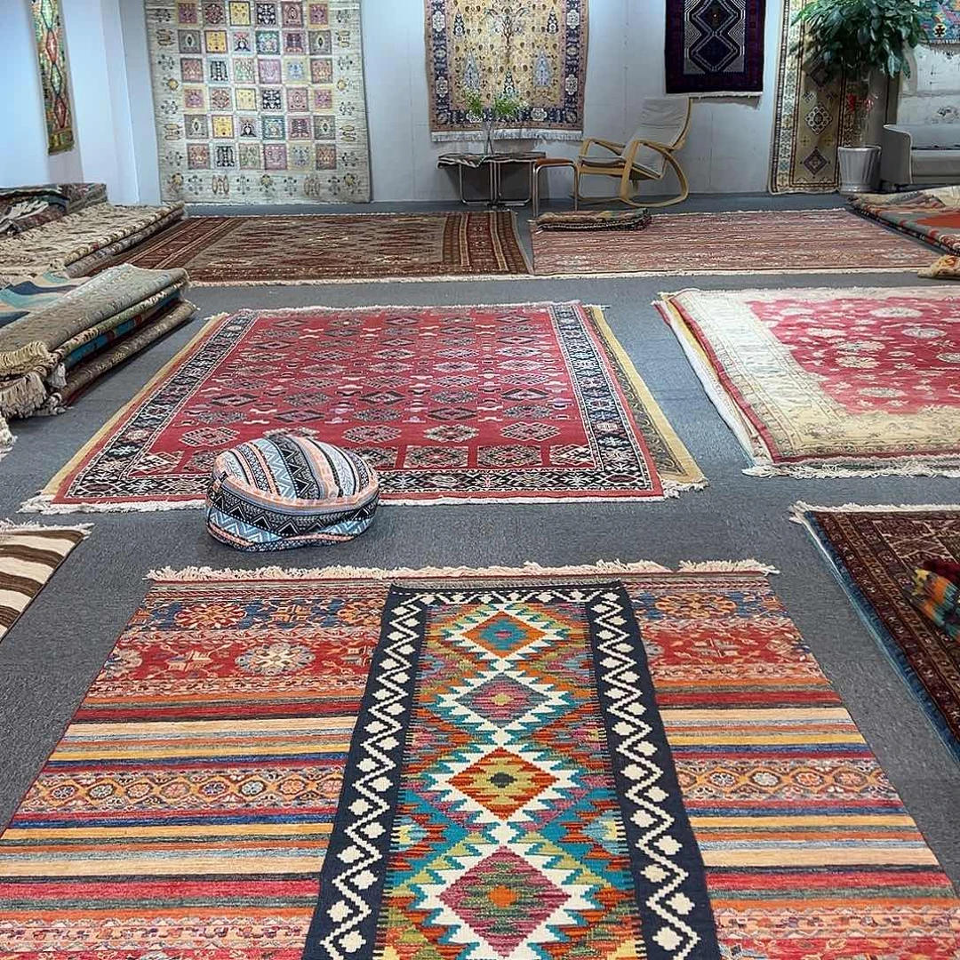 羊毛恭喜发财天天开心