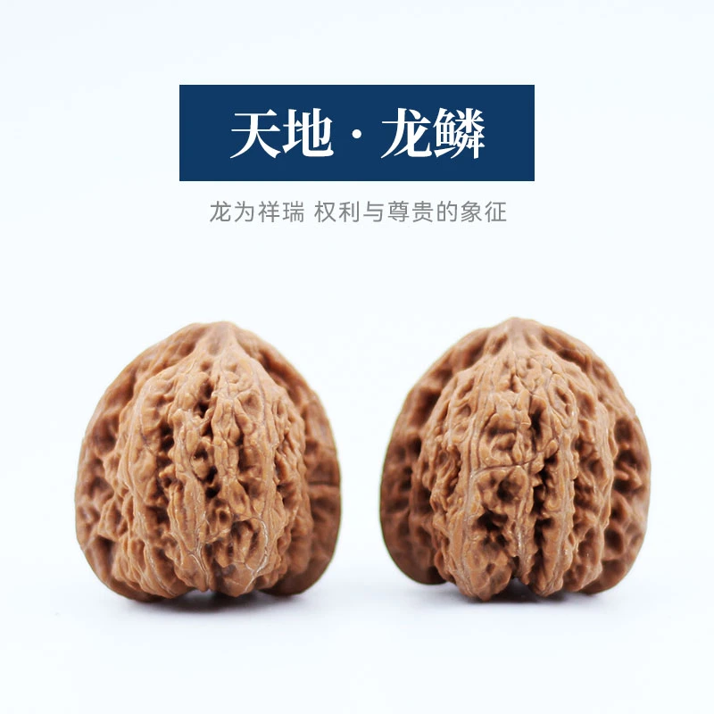 古品记【天地龙鳞】野生文玩精品核桃核桃