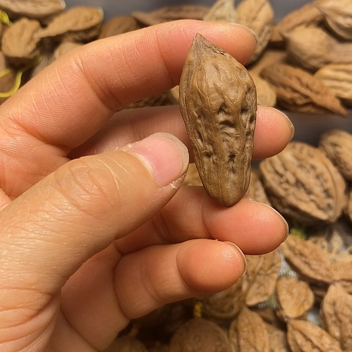 惊***蛰文玩核桃把件不错