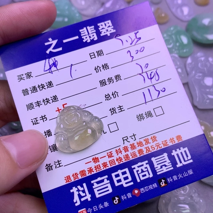 颈饰未镶嵌翡翠种***2
