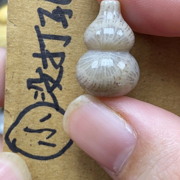 硅化珊瑚（珊瑚玉）未镶嵌颈饰