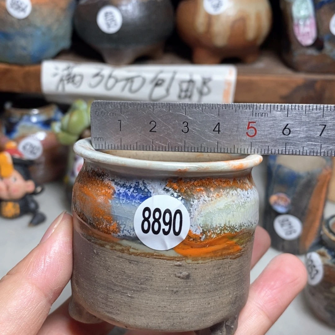 拍5送一个小礼物